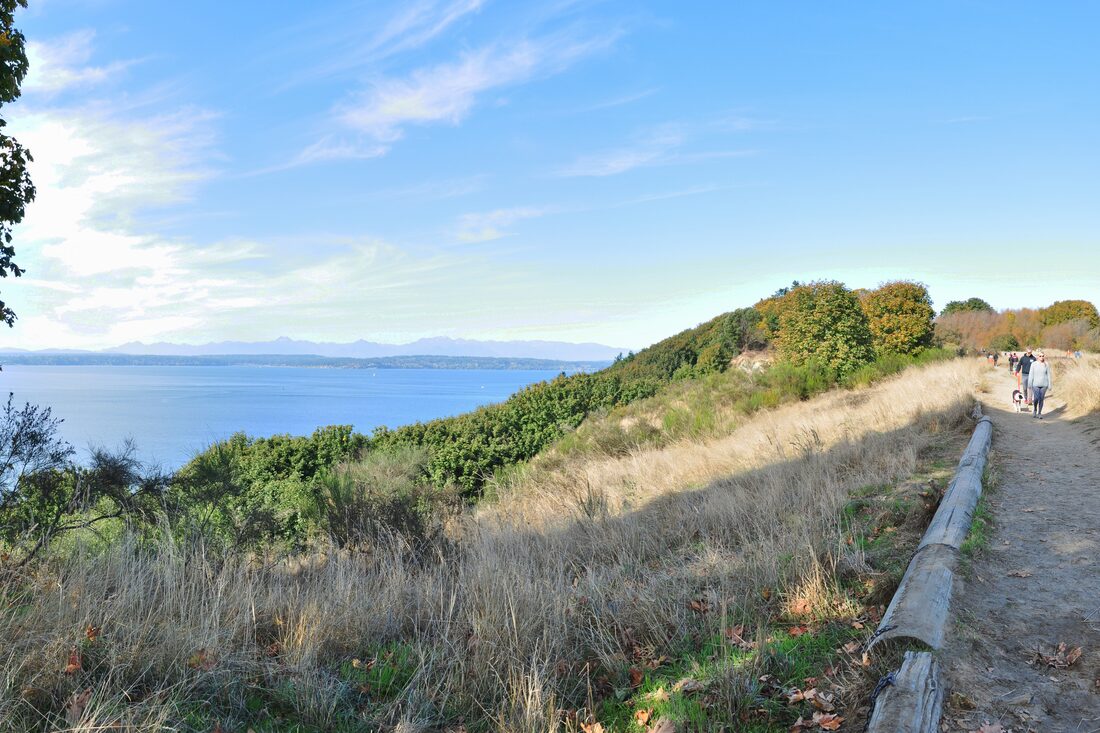 The bluff trail in Discovery Park, Magnolia, looking across Puget Sound to the Olympic Mountains